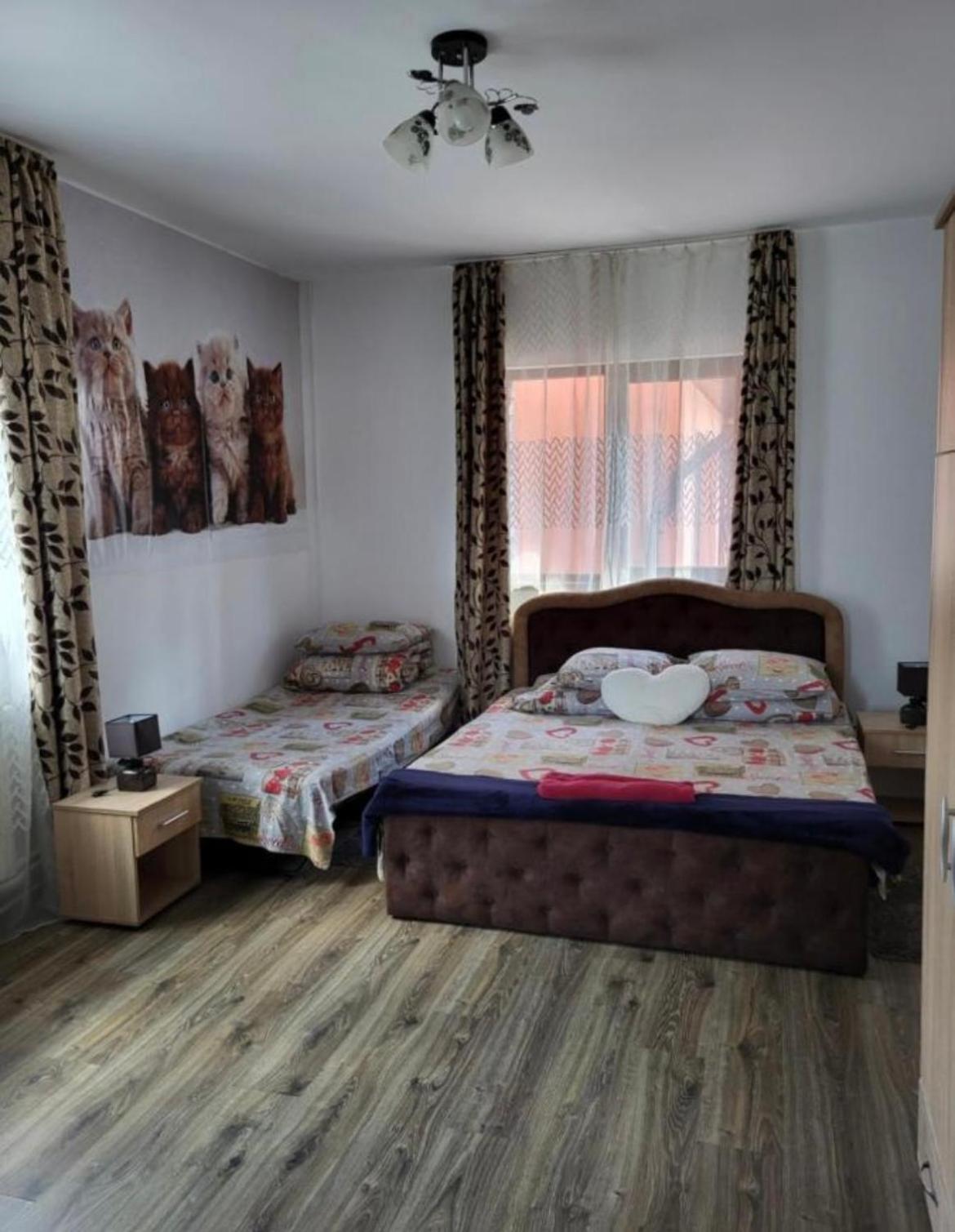 Casa Raraului Διαμέρισμα Câmpulung Moldovenesc Εξωτερικό φωτογραφία