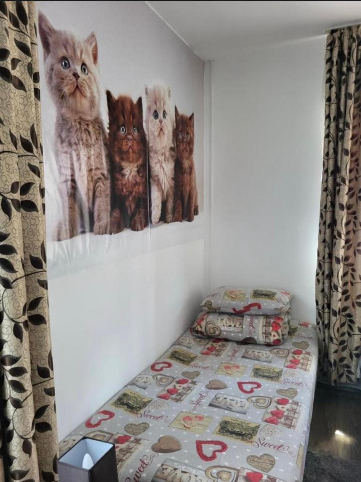 Casa Raraului Διαμέρισμα Câmpulung Moldovenesc Εξωτερικό φωτογραφία
