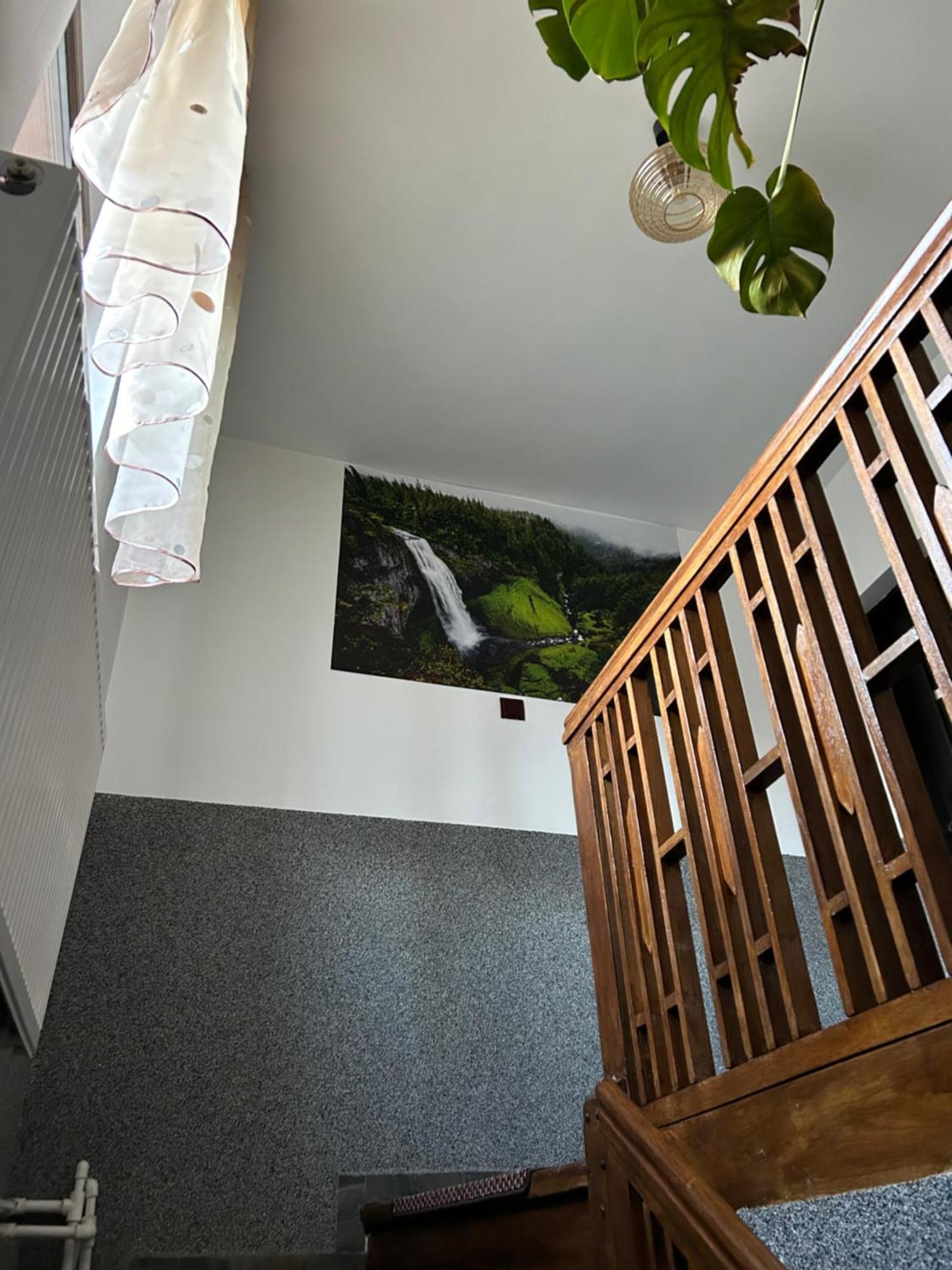 Casa Raraului Διαμέρισμα Câmpulung Moldovenesc Εξωτερικό φωτογραφία